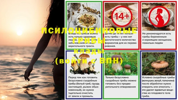 соль курить ск Сосновка