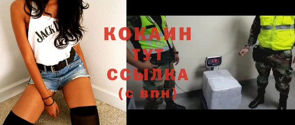 сатива Вяземский