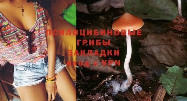 соль курить ск Сосновка