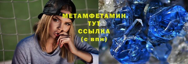 сатива Вяземский